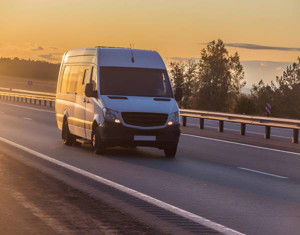 Our The Lee Services